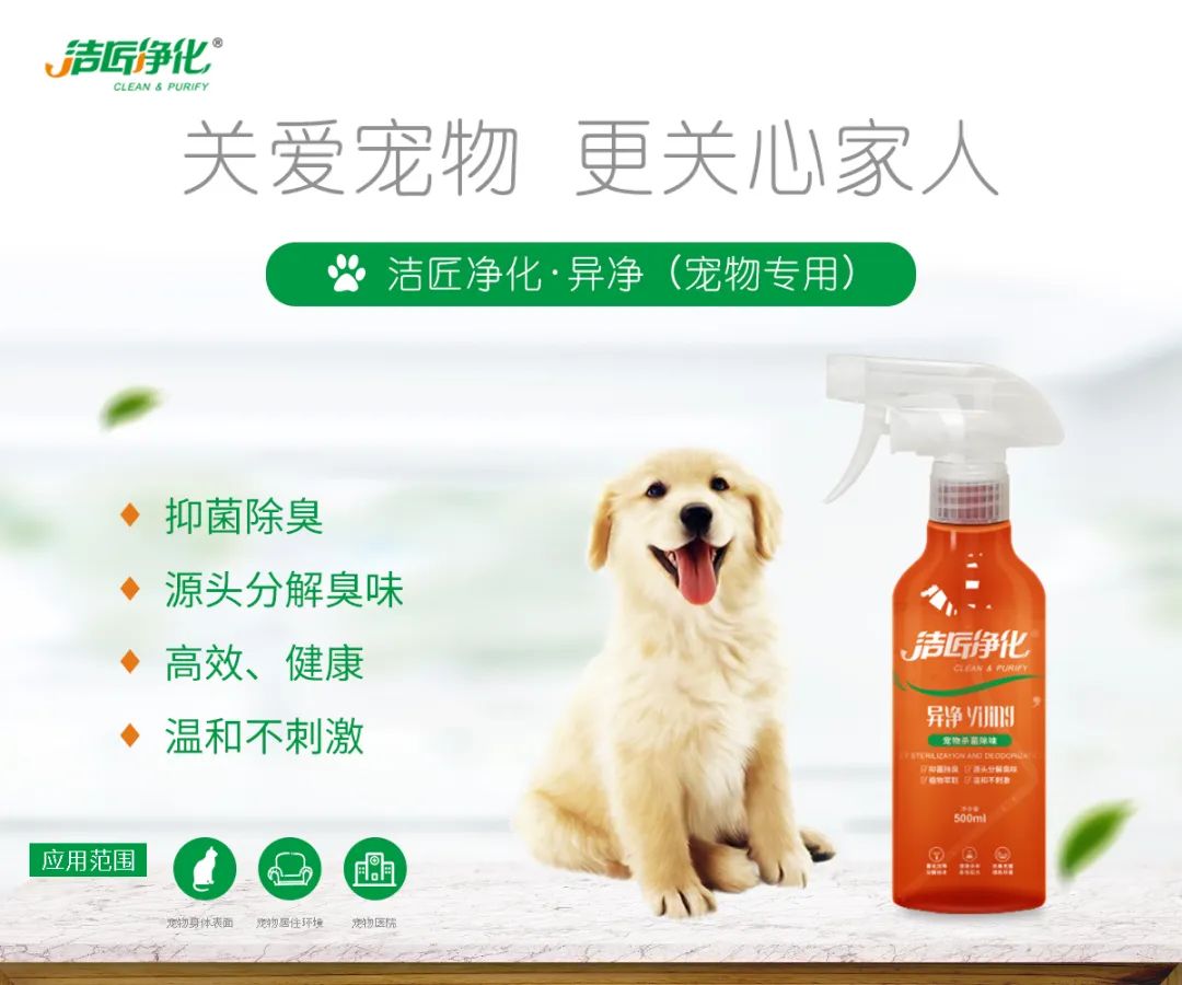 寵物氣味彌漫整個(gè)屋子，潔匠凈化教您如何除味
